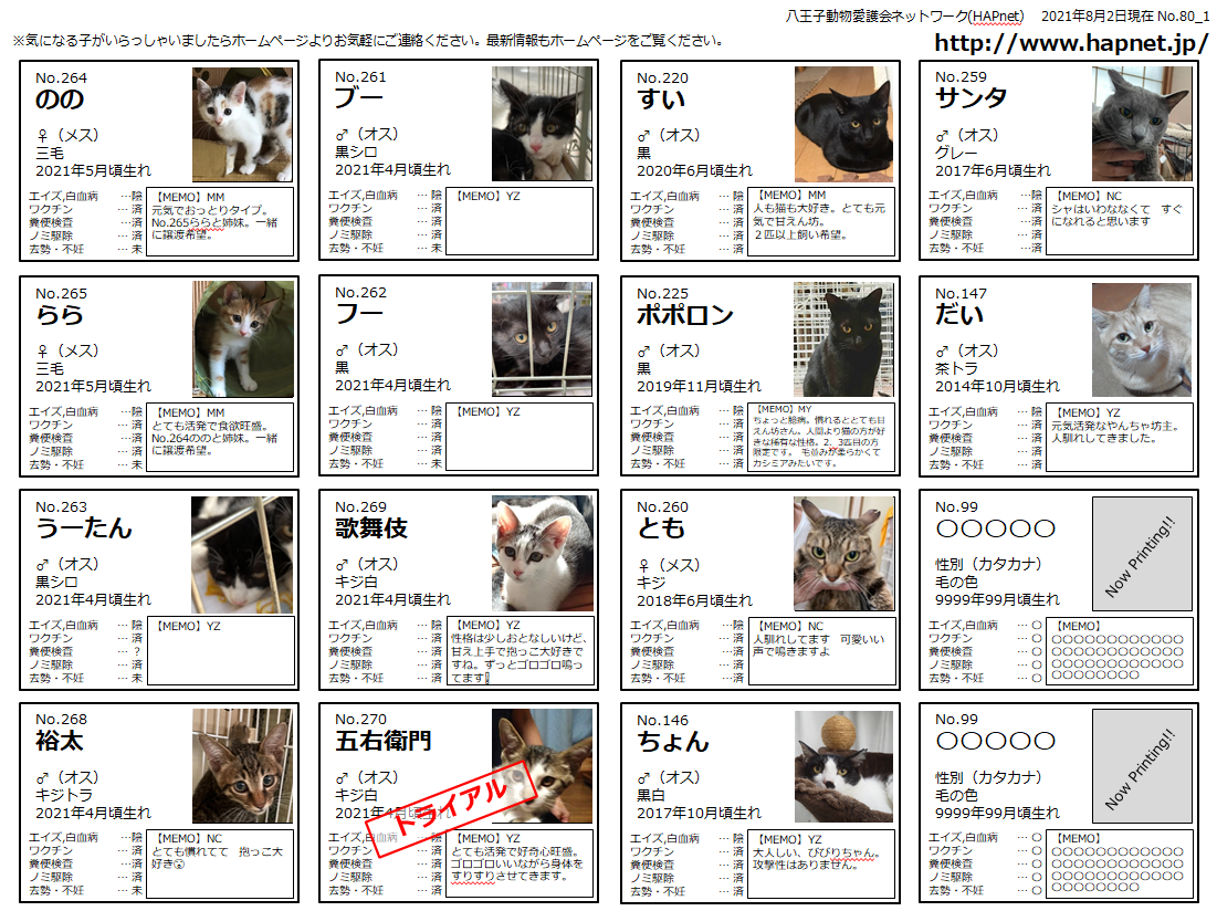 八王子動物愛護会ネットワーク Hapnet 譲渡猫情報一覧 八王子動物愛護会ネットワーク Hapnet